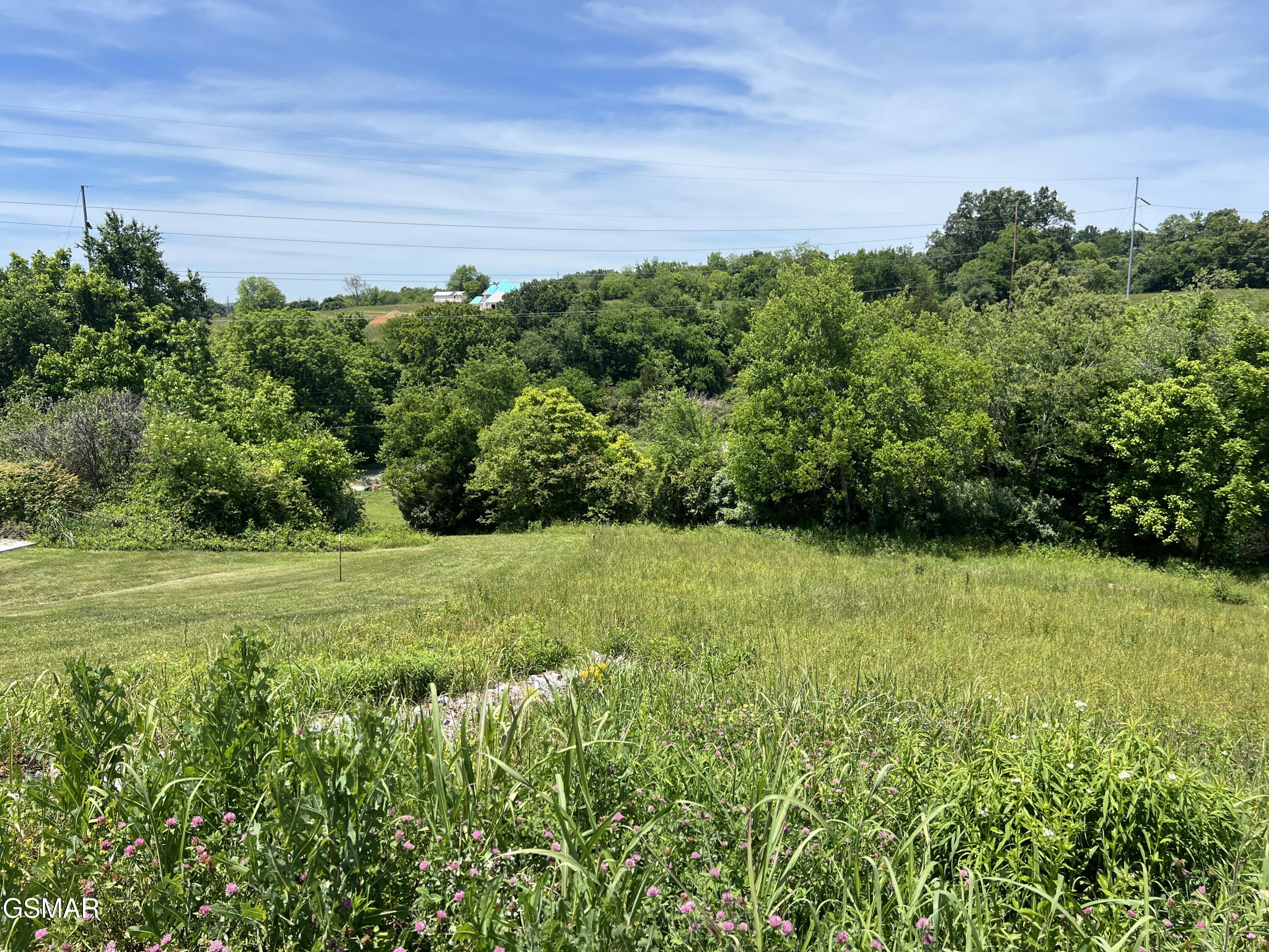 Lt 4c Wilson Road Sevierville TN 37862