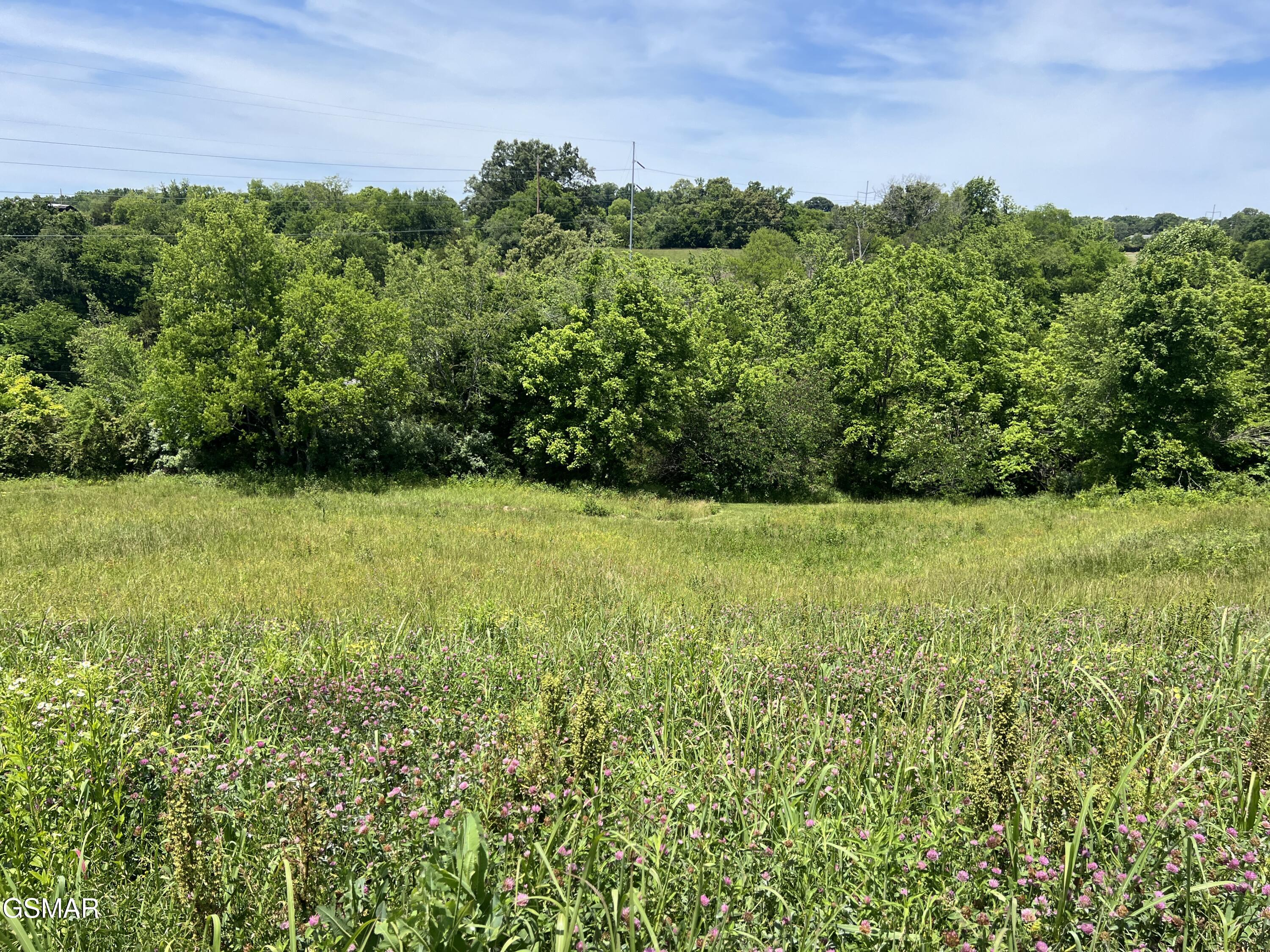 Lt 4c Wilson Road Sevierville TN 37862