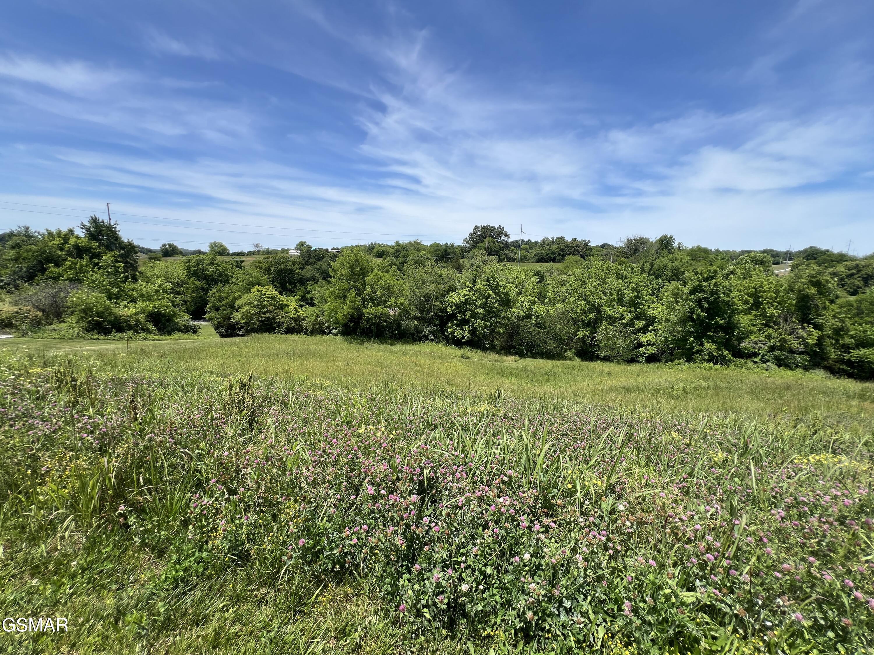 Lt 4c Wilson Road Sevierville TN 37862
