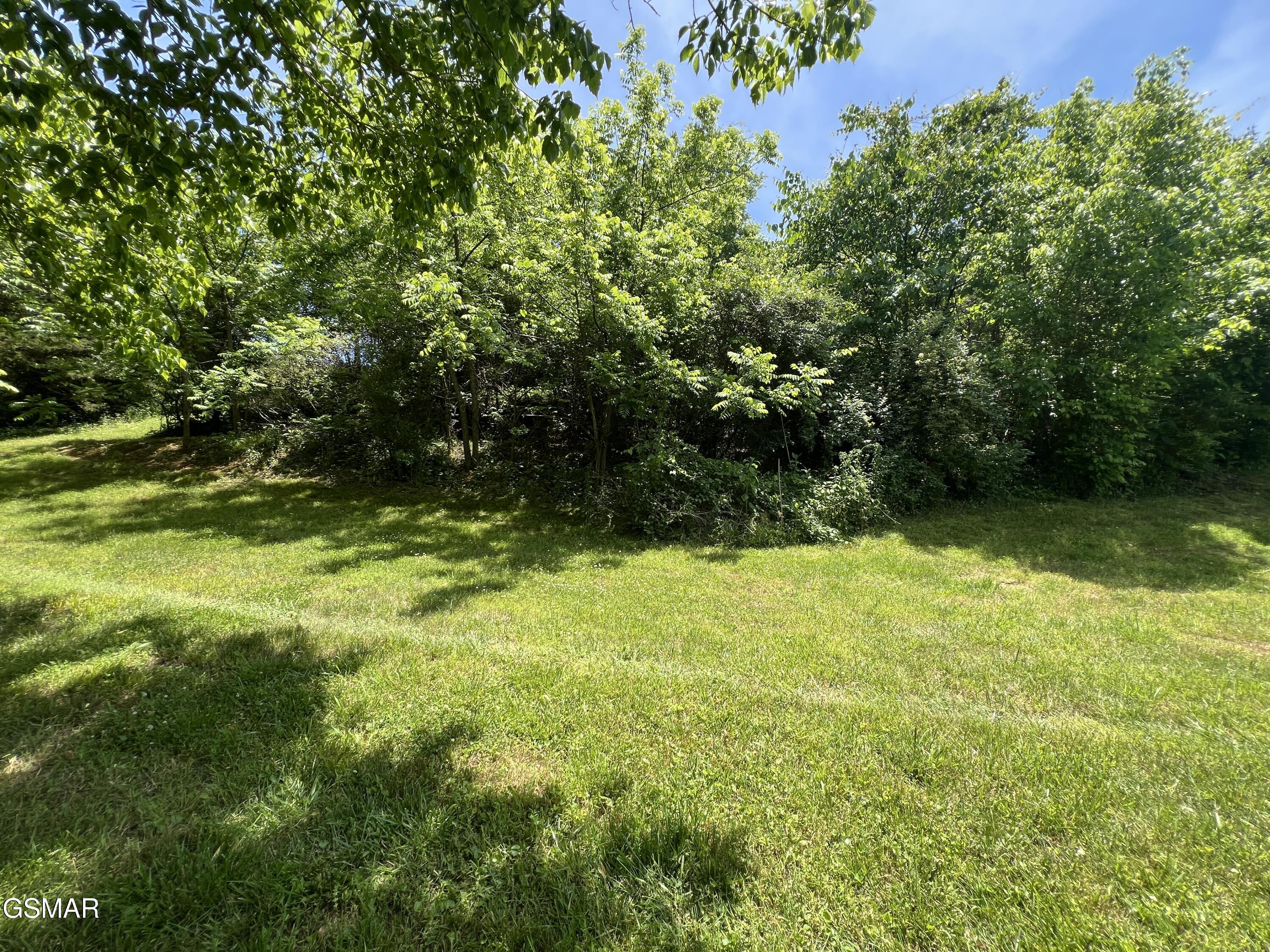 Lt 4c Wilson Road Sevierville TN 37862