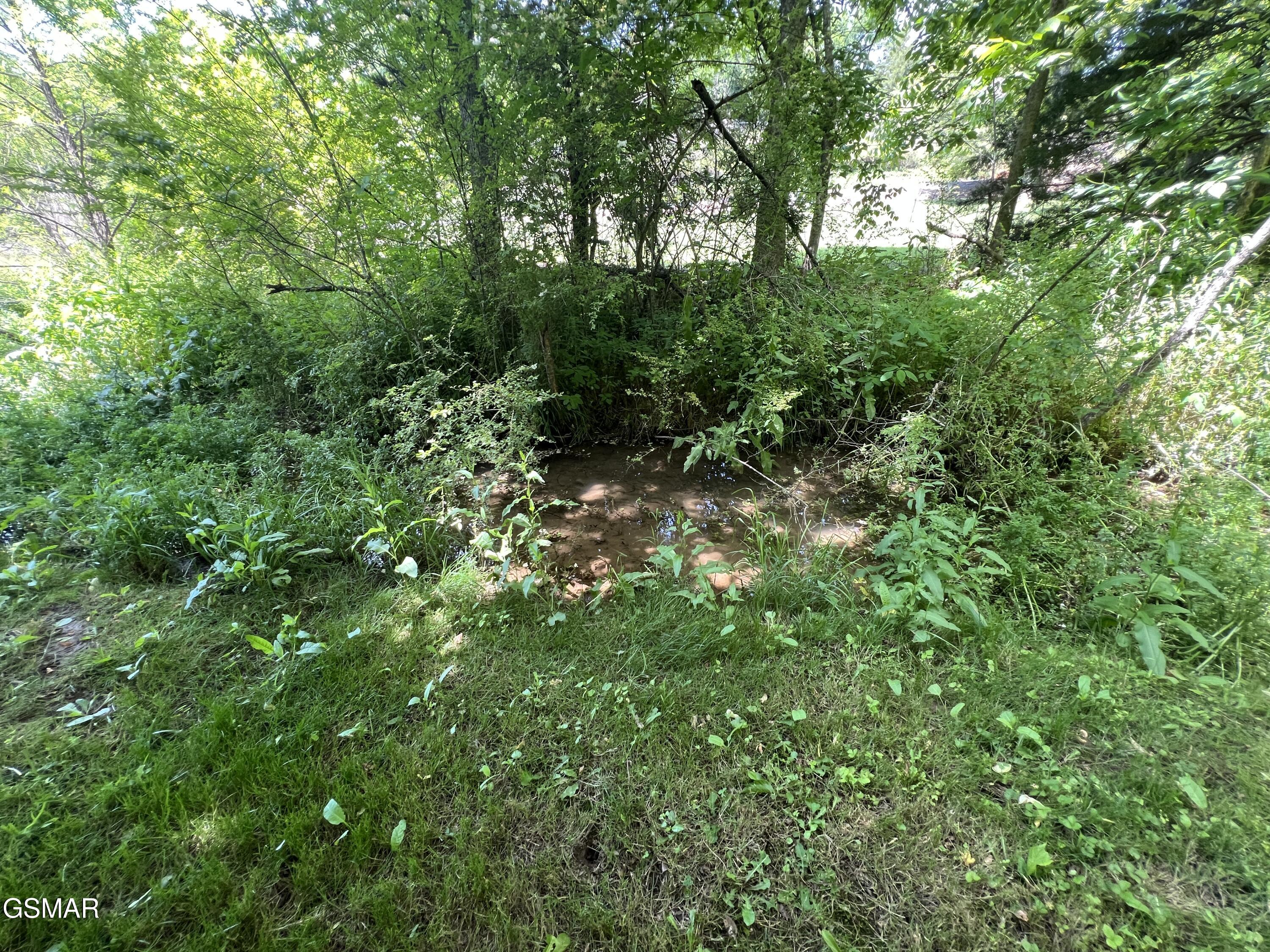 Lt 4c Wilson Road Sevierville TN 37862