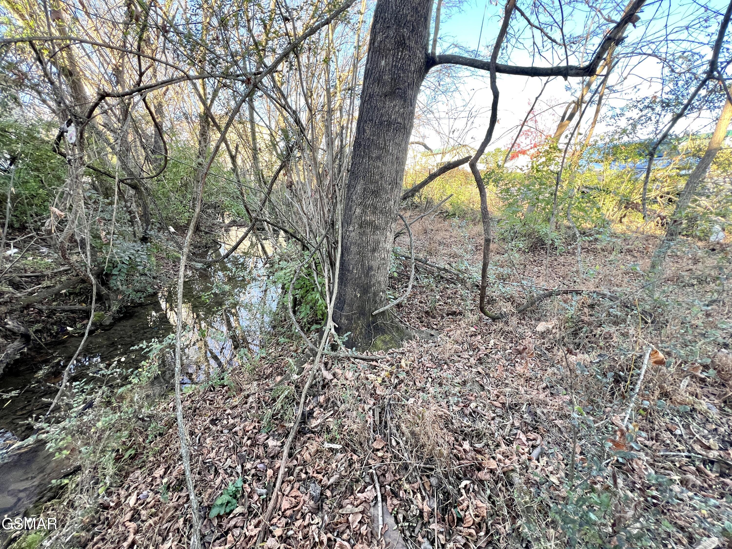 1117 Oak Cluster Drive Sevierville TN 37862