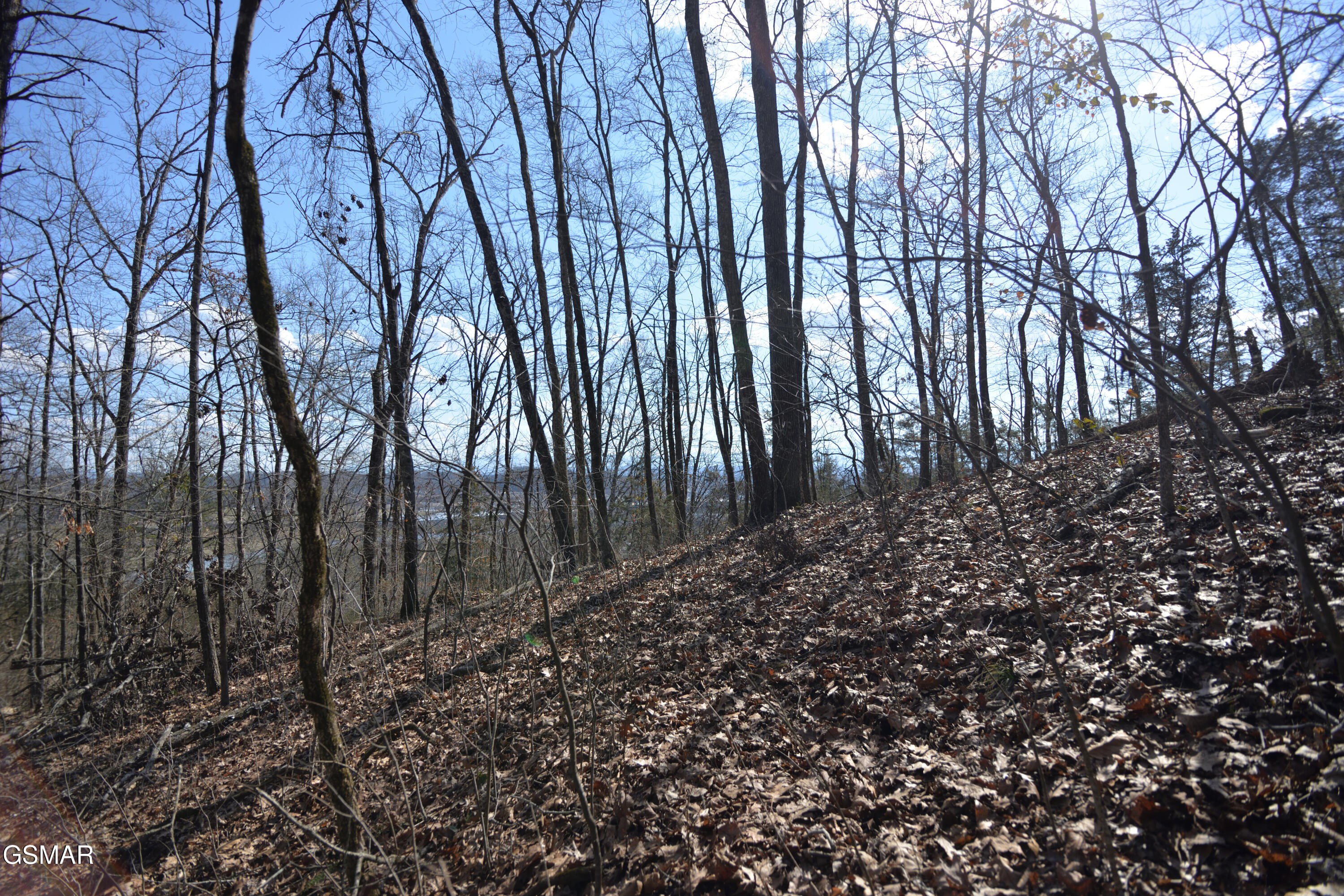 011.00 & . Old Knoxville Highway Sevierville TN 37876