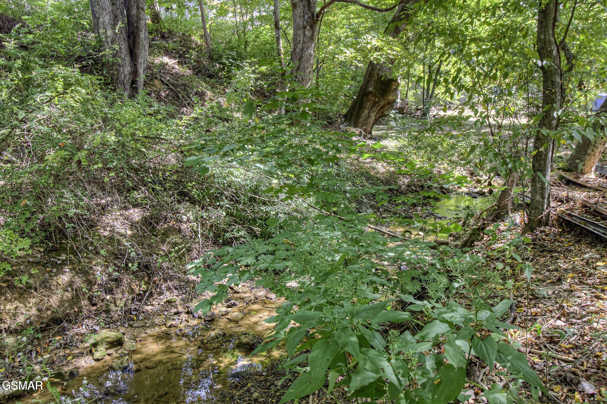 730/734 Powdermill Road Gatlinburg TN 37738
