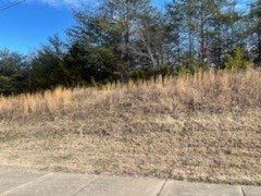 ____ Winfield Dunn Parkway Mount Road Parkway Sevierville TN 37764
