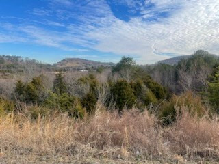 ____ Winfield Dunn Parkway Mount Road Parkway Sevierville TN 37764
