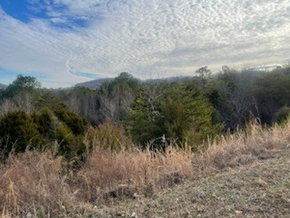 ____ Winfield Dunn Parkway Mount Road Parkway Sevierville TN 37764