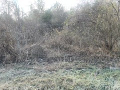 ____ Winfield Dunn Parkway Mount Road Parkway Sevierville TN 37764
