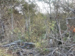 ____ Winfield Dunn Parkway Mount Road Parkway Sevierville TN 37764
