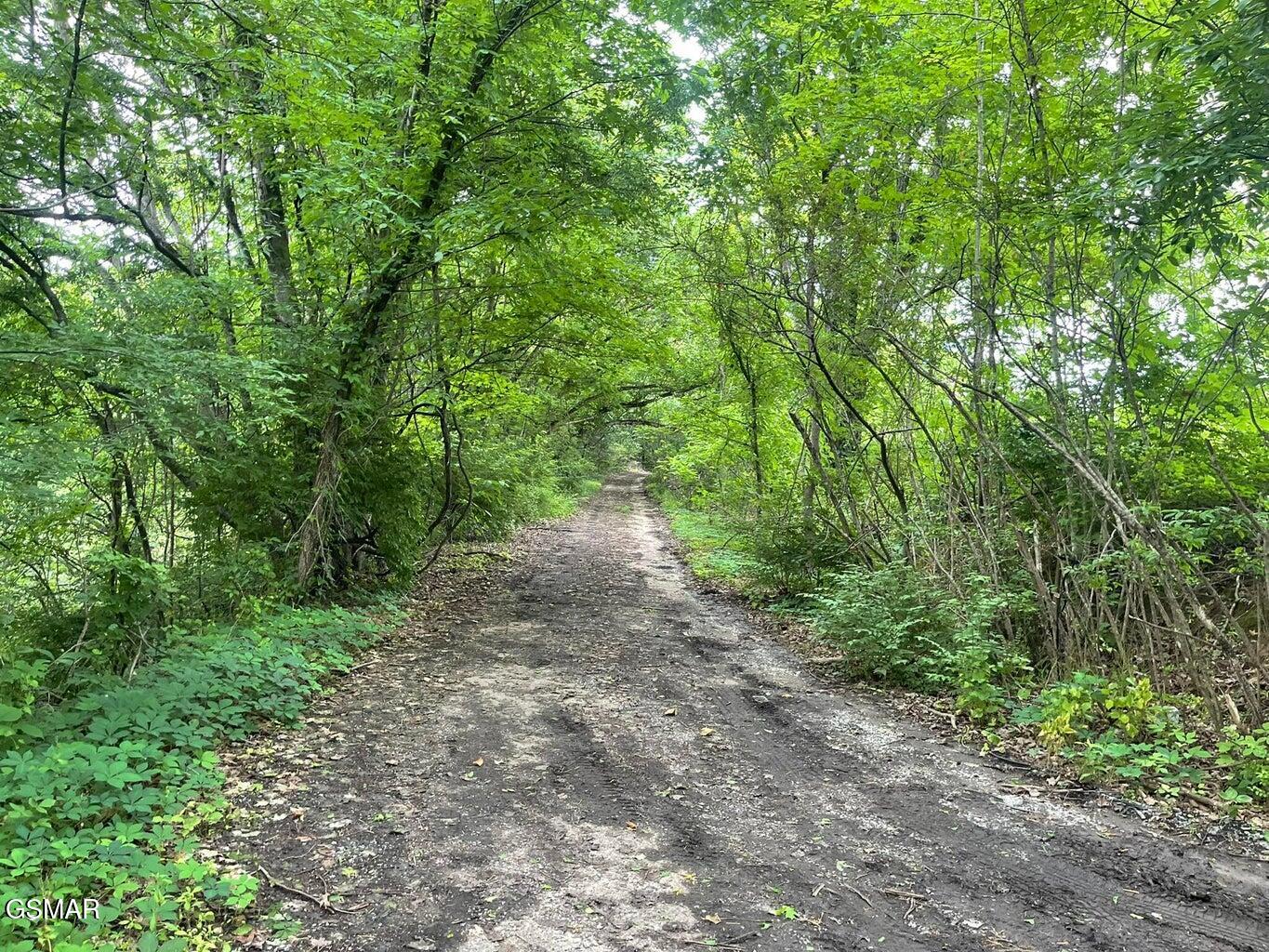 1376 Winfield Dunn Parkway Sevierville TN 37862