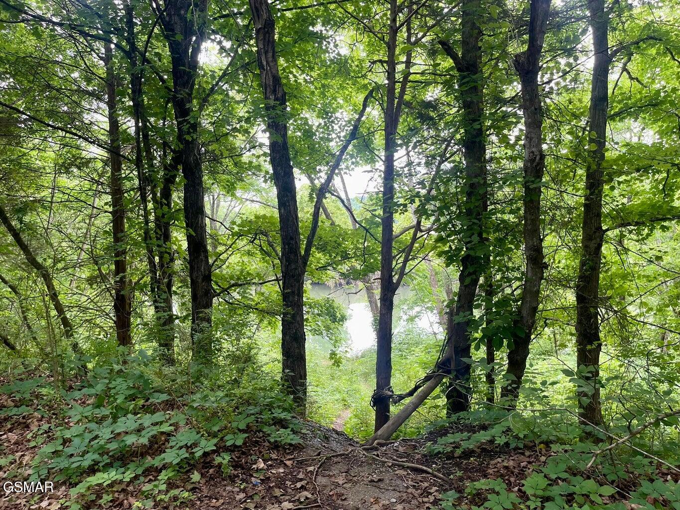 1376 Winfield Dunn Parkway Sevierville TN 37862