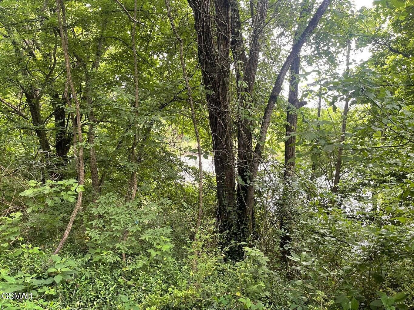 1376 Winfield Dunn Parkway Sevierville TN 37862