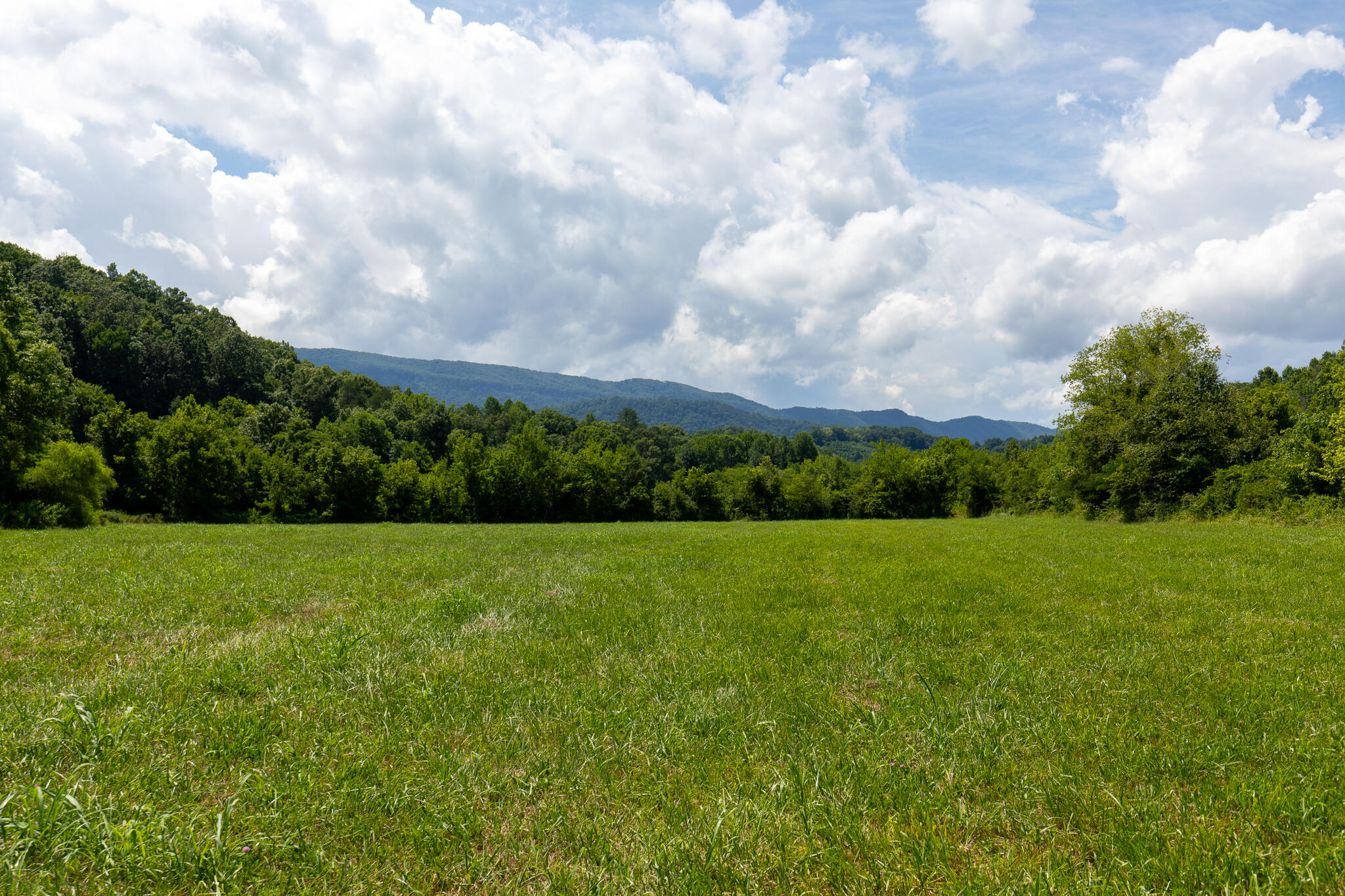 0 Dupont Road Seymour TN 37865