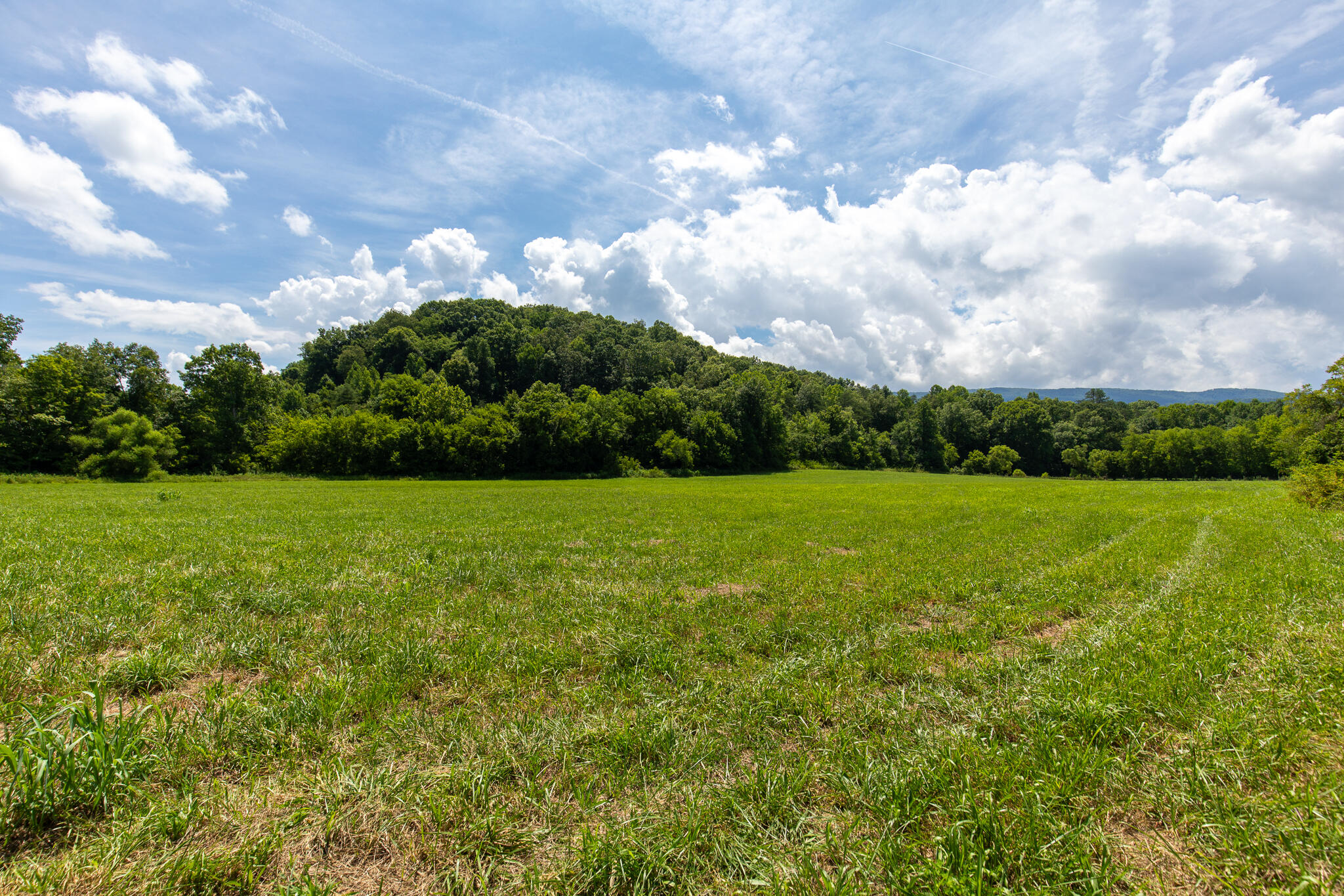 0 Dupont Road Seymour TN 37865