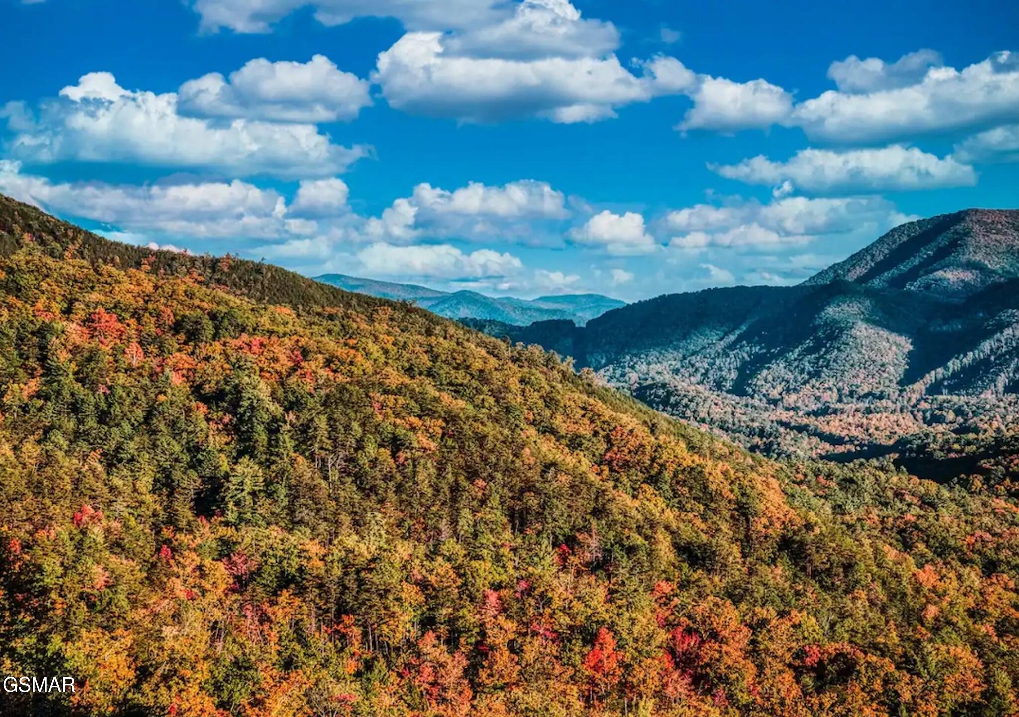 3710 Weber Road Gatlinburg TN 37738