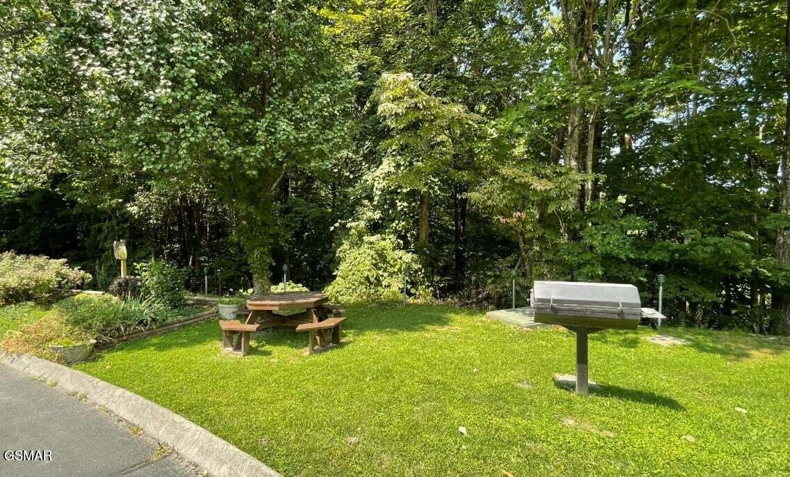 1130 Ski View Drive Gatlinburg TN 37738