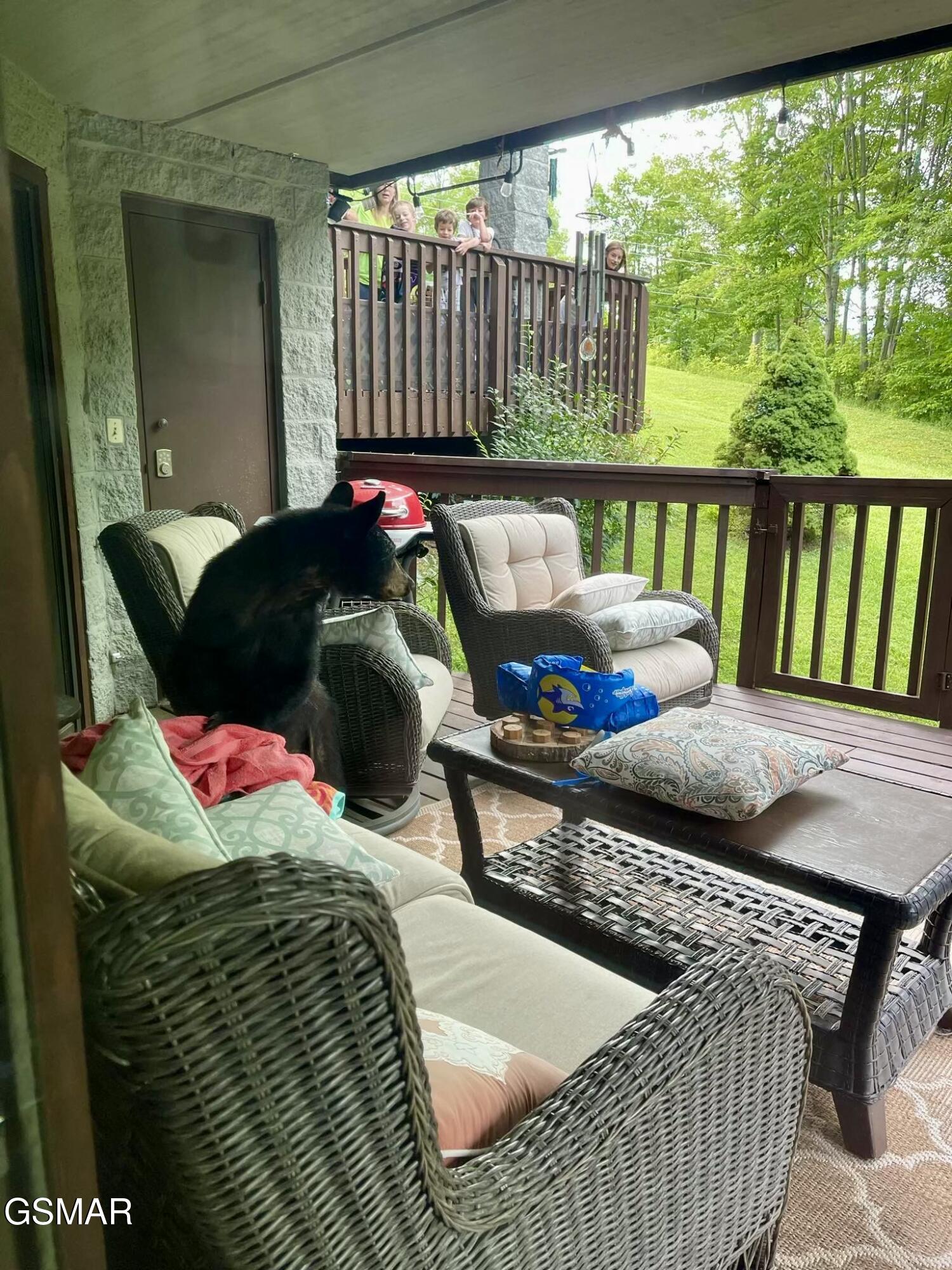 1155 Upper Alpine Way Gatlinburg TN 37738