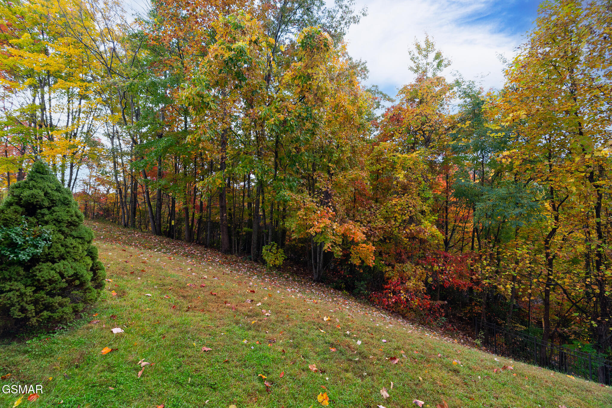 1155 Upper Alpine Way Gatlinburg TN 37738