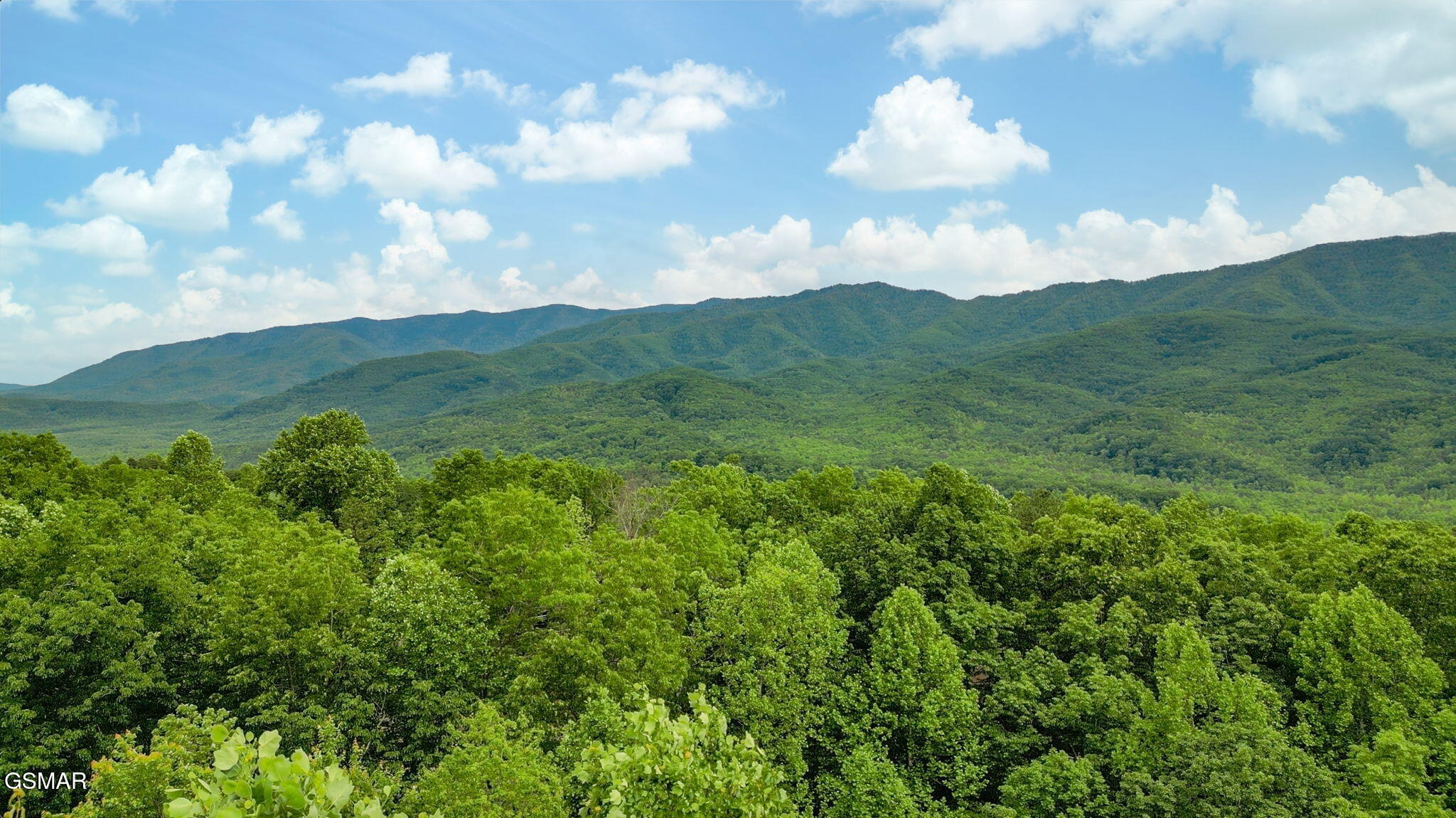 3710 Weber Road Gatlinburg TN 37738