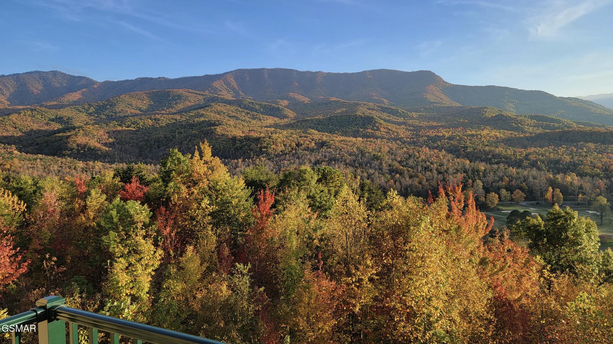 3710 Weber Road Gatlinburg TN 37738