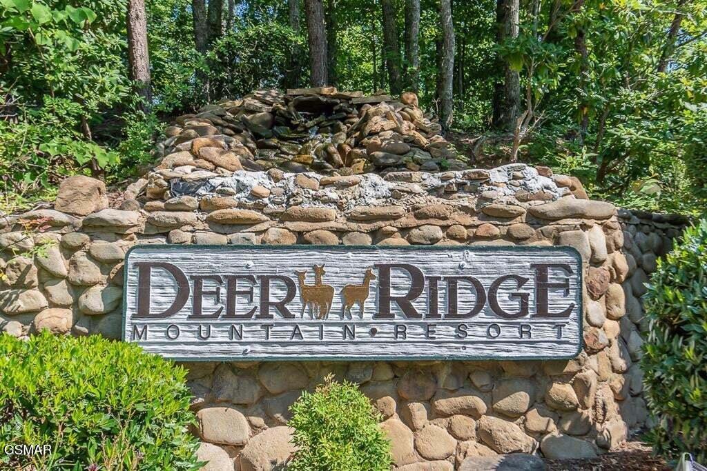 3710 Weber Road Gatlinburg TN 37738