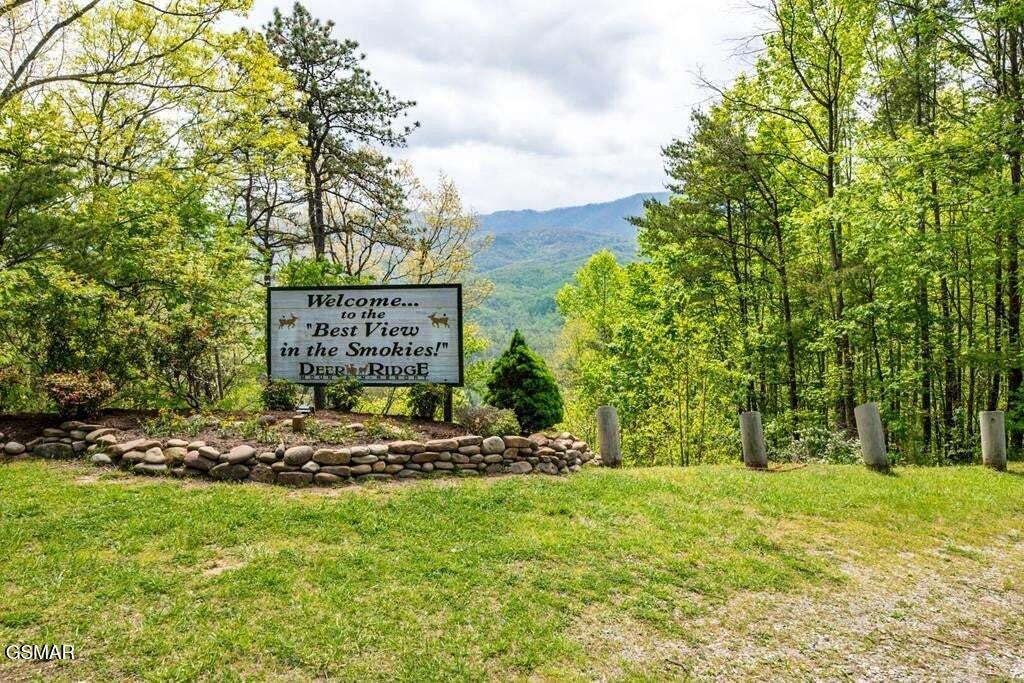 3710 Weber Road Gatlinburg TN 37738
