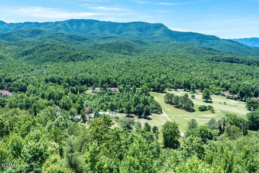 3710 Weber Road Gatlinburg TN 37738