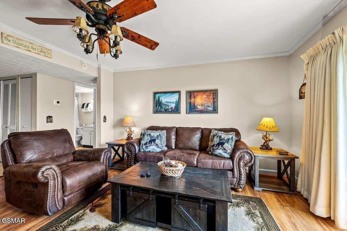 3710 Weber Road Gatlinburg TN 37738