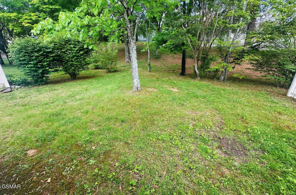 1974 Locarno Drive Knoxville TN 37914