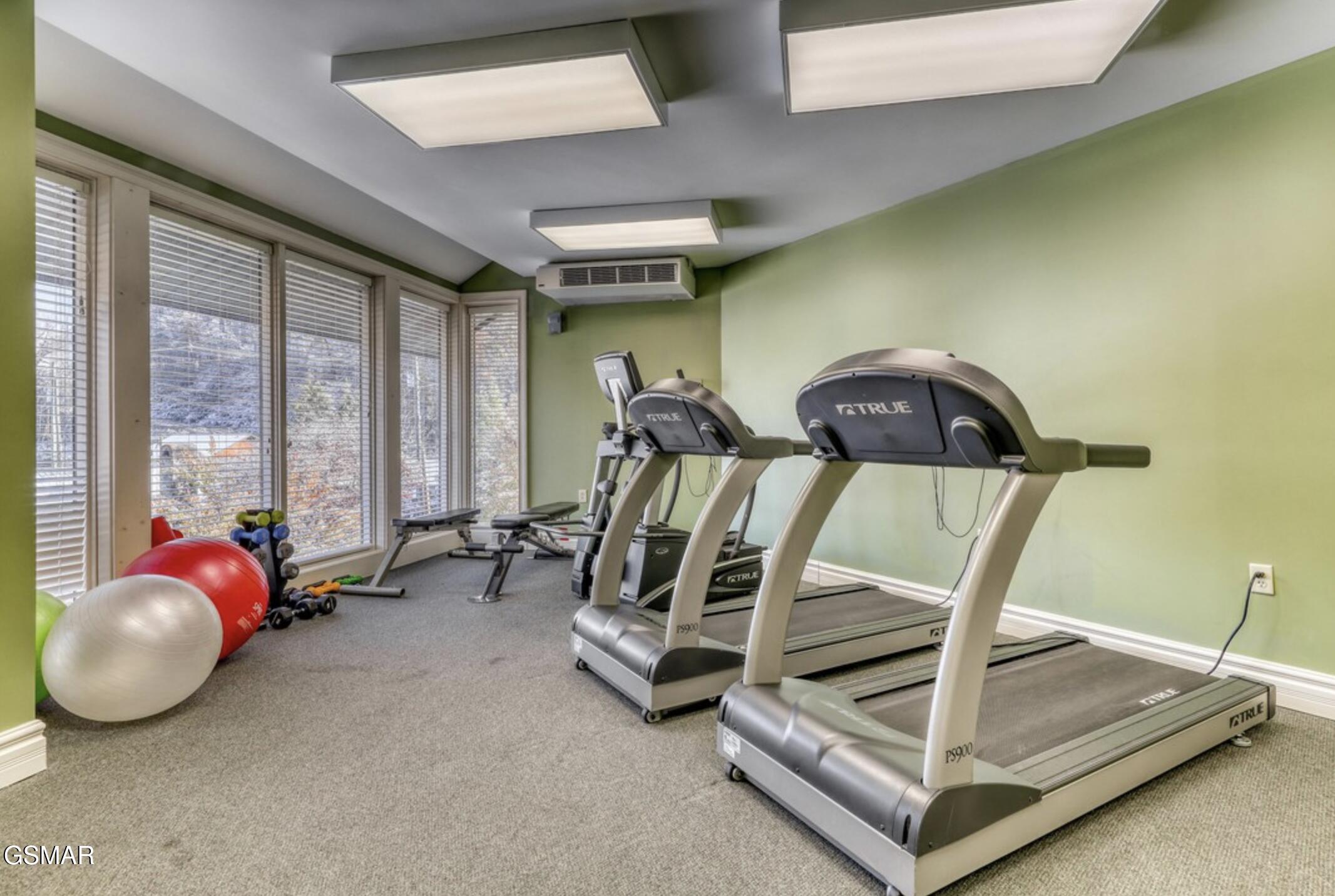 215 Woliss Lane Gatlinburg TN 37738