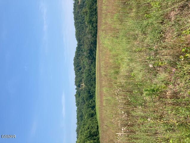540 Henderson Road Pigeon Forge TN 37863
