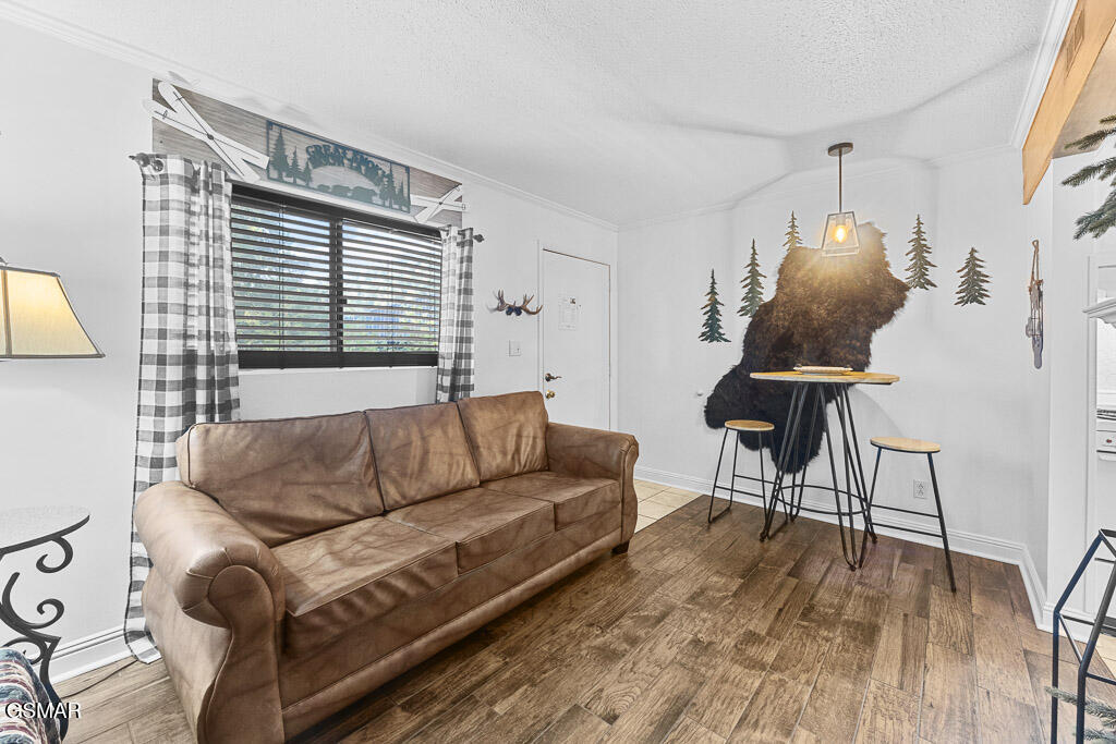 685 River Road Gatlinburg TN 37738