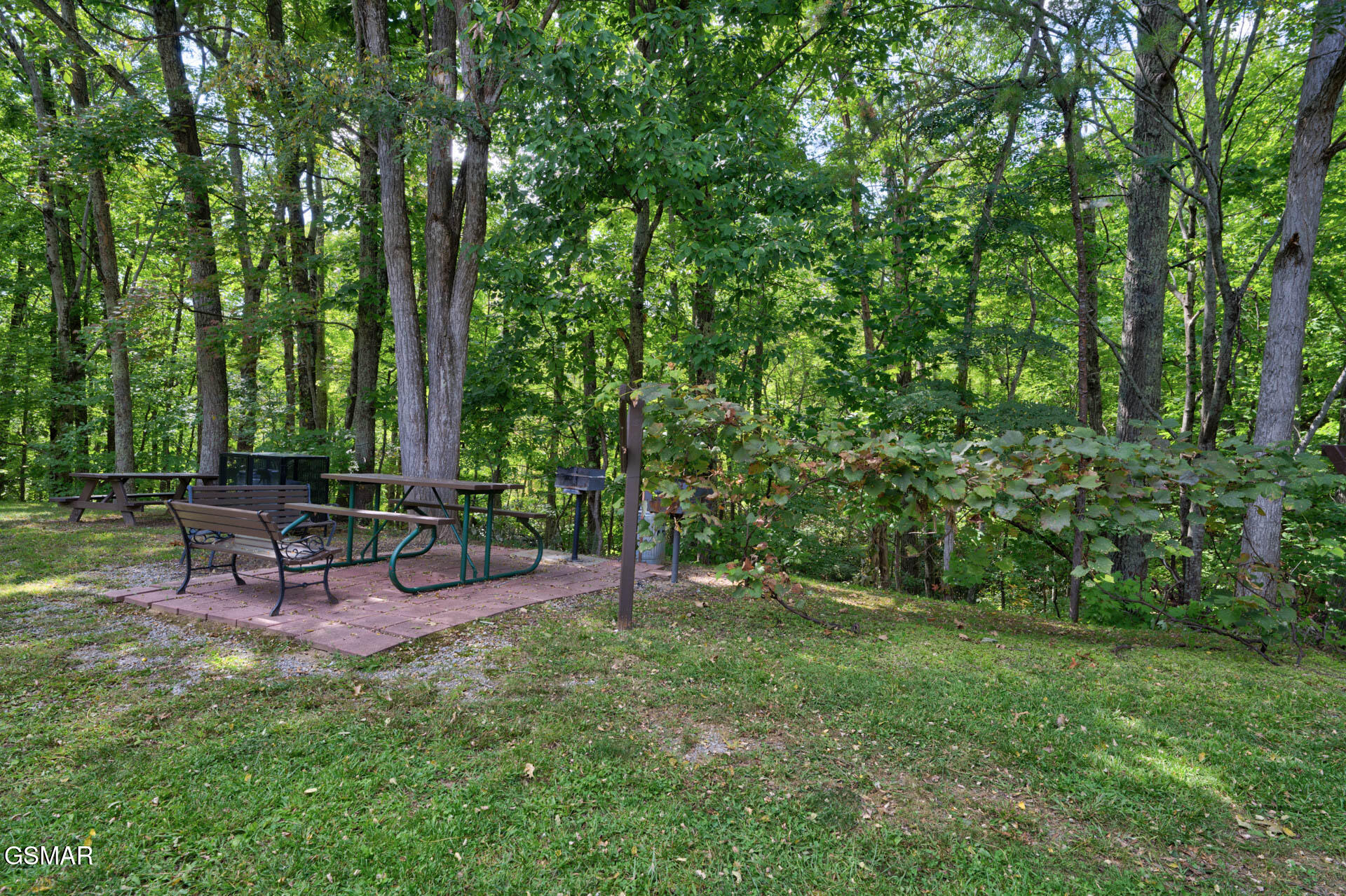 1081 Cove Road Sevierville TN 37876