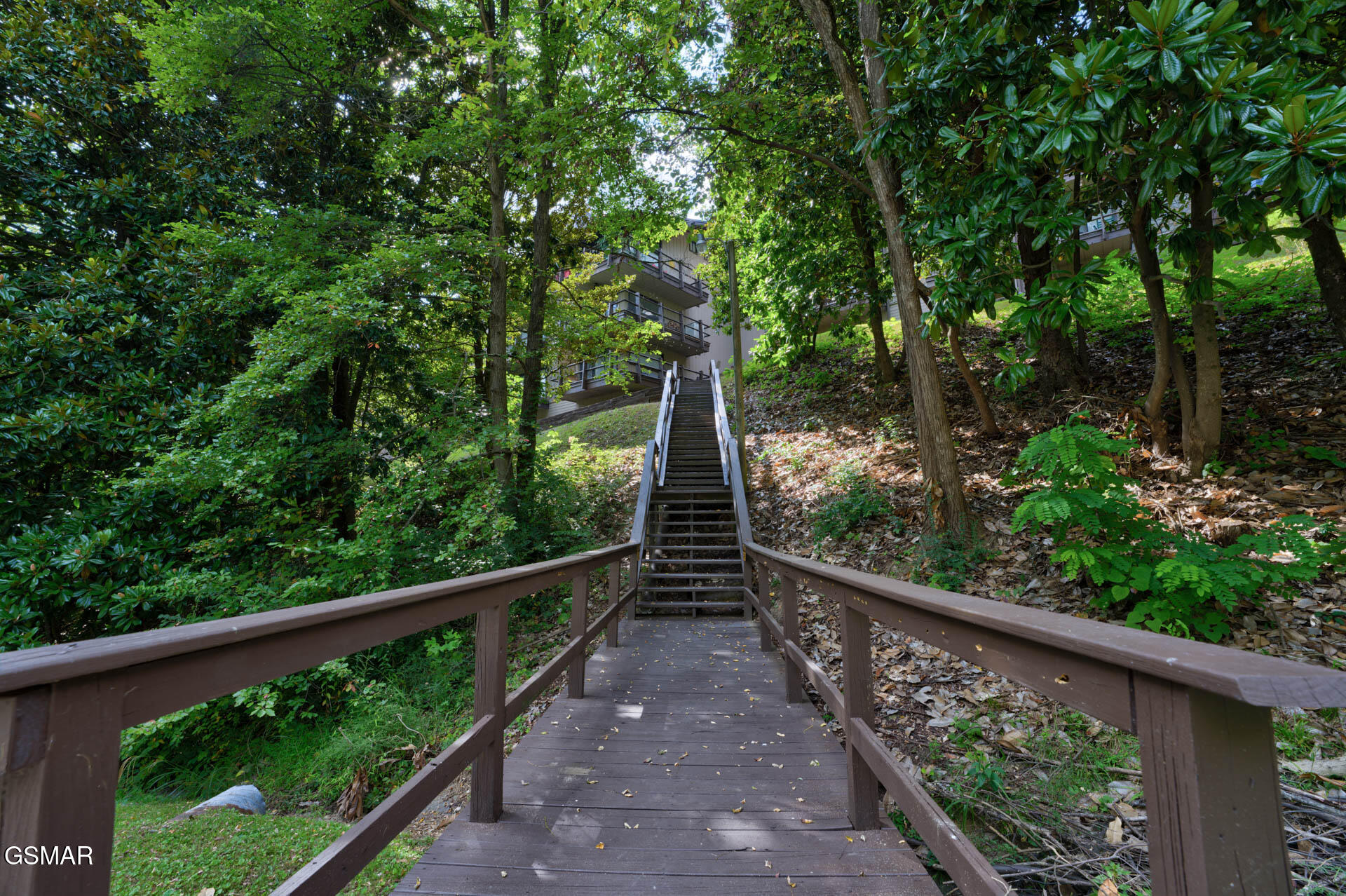 1081 Cove Road Sevierville TN 37876
