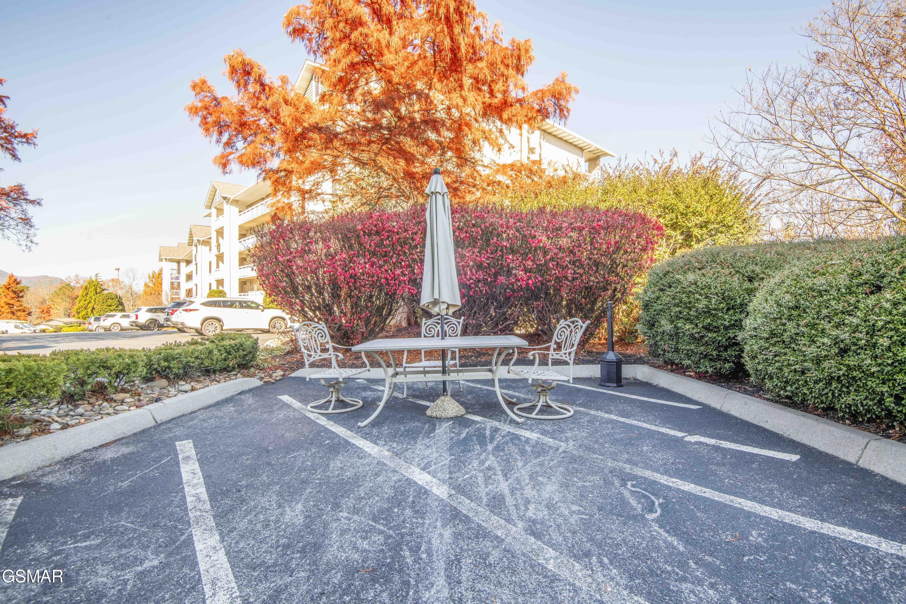 205 Ogle Drive Pigeon Forge TN 37863