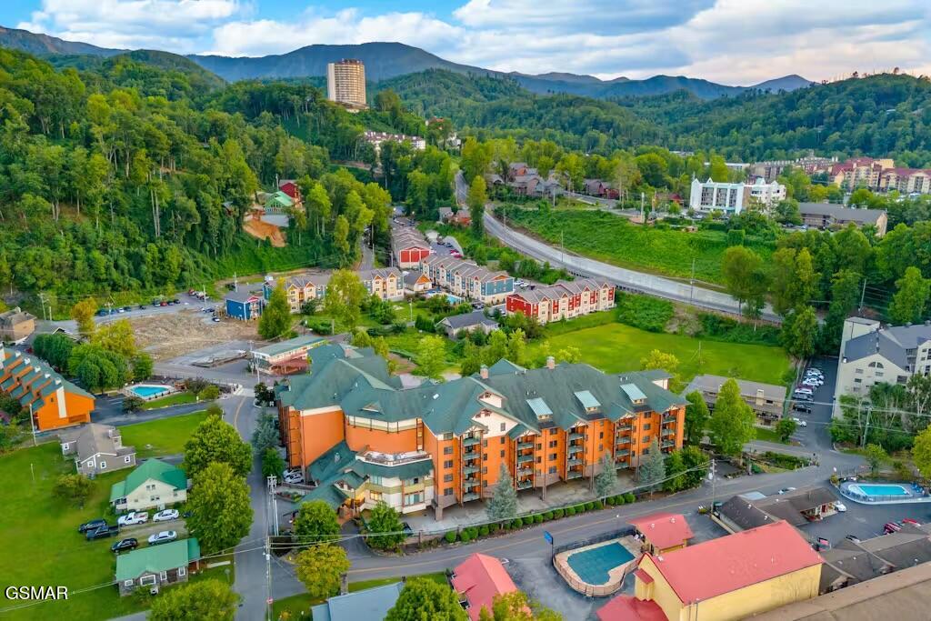 215 Woliss Lane Gatlinburg TN 37738