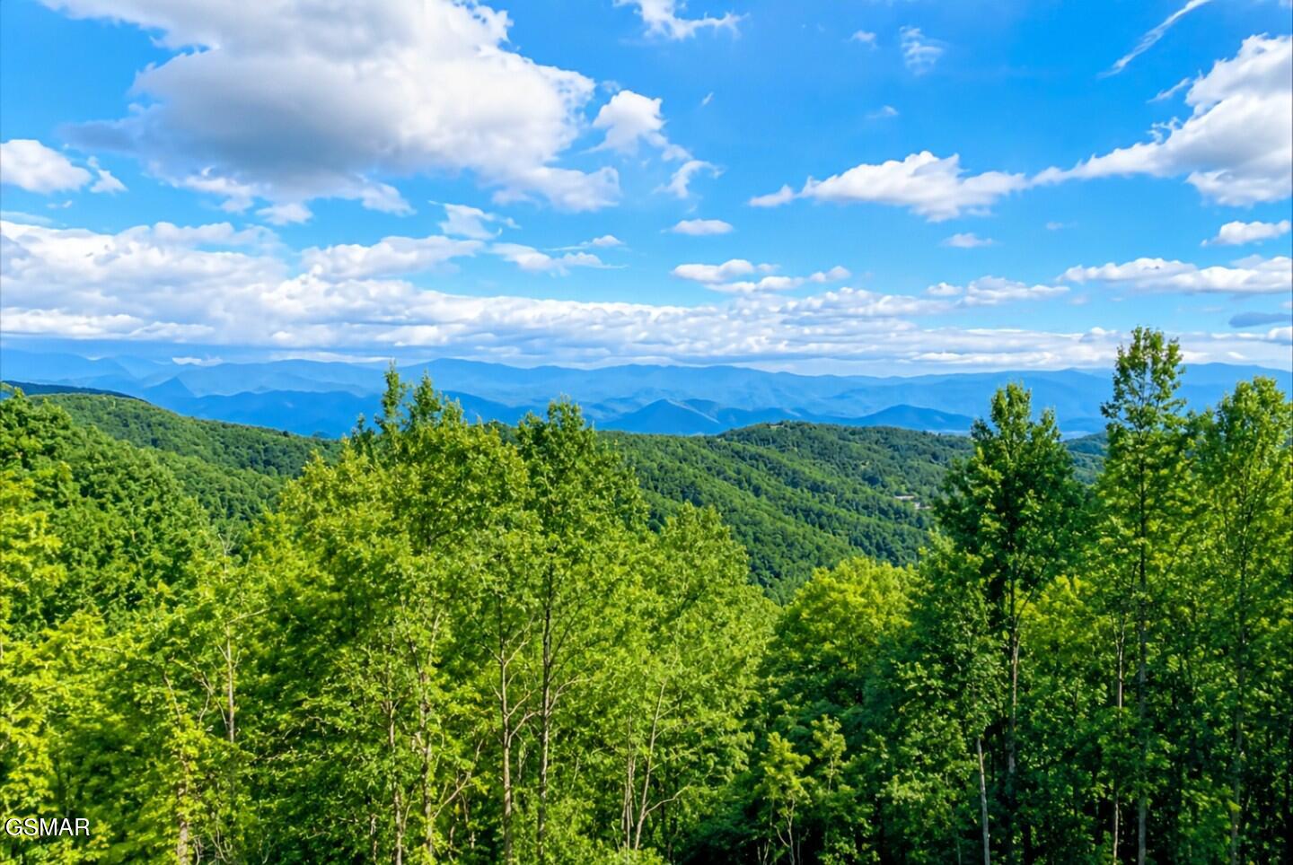 1130 Ski View Drive Gatlinburg TN 37738