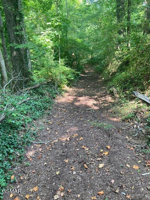 540 Henderson Road Pigeon Forge TN 37863