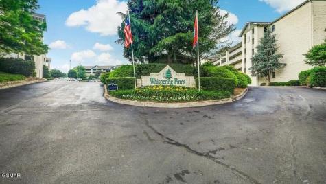205 Ogle Drive Pigeon Forge TN 37863
