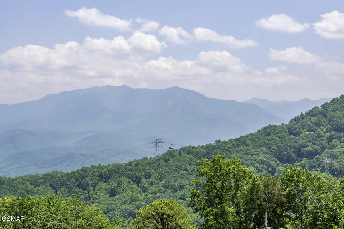 1260 Ski View Drive Gatlinburg TN 37738
