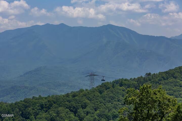 1260 Ski View Drive Gatlinburg TN 37738