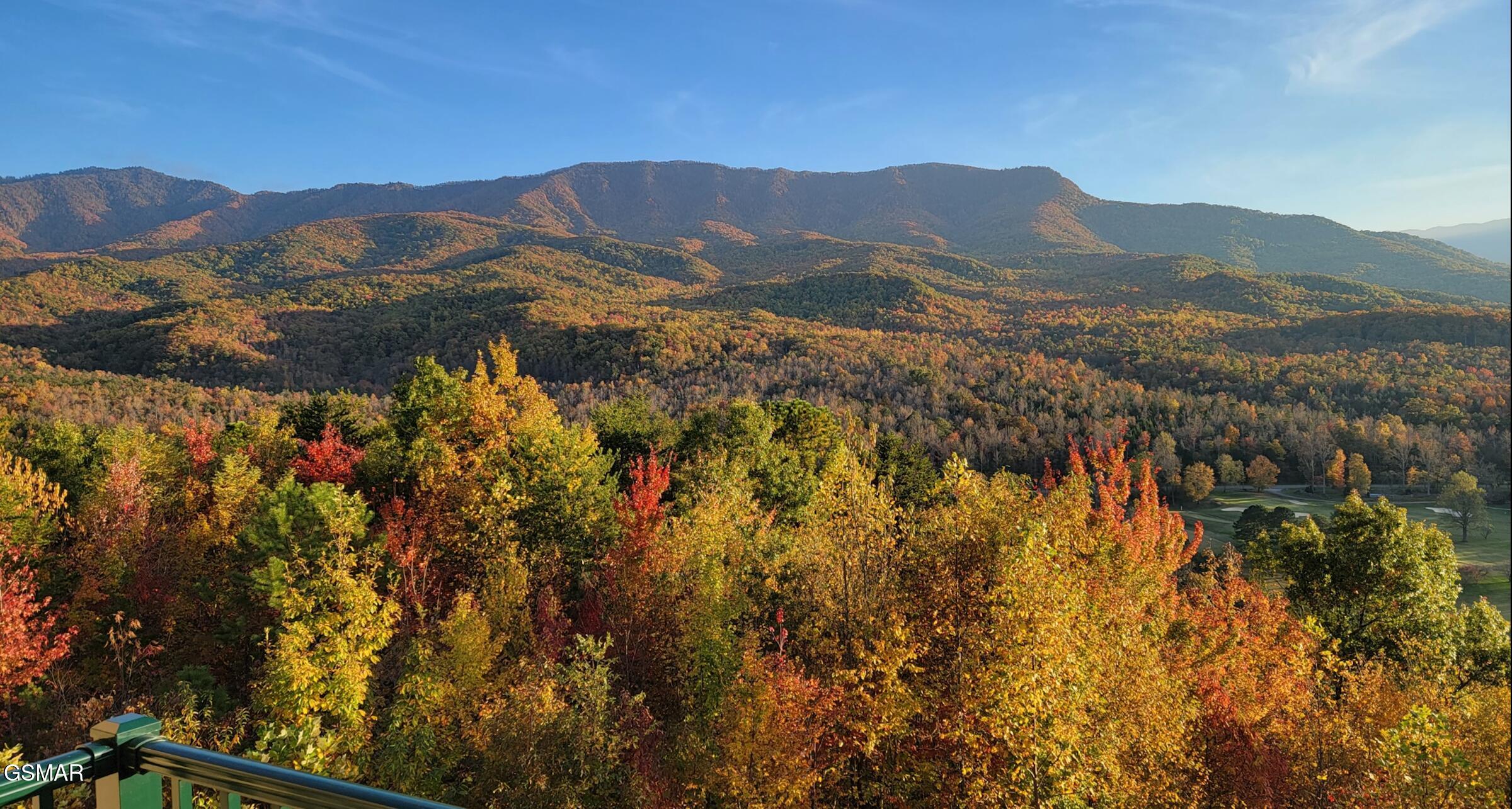 3710 Weber Road Gatlinburg TN 37738