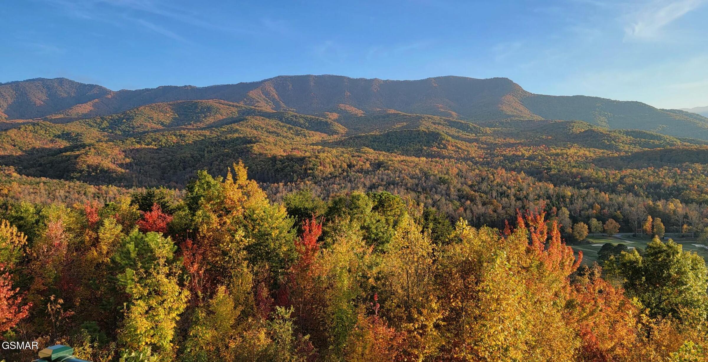 3710 Weber Road Gatlinburg TN 37738