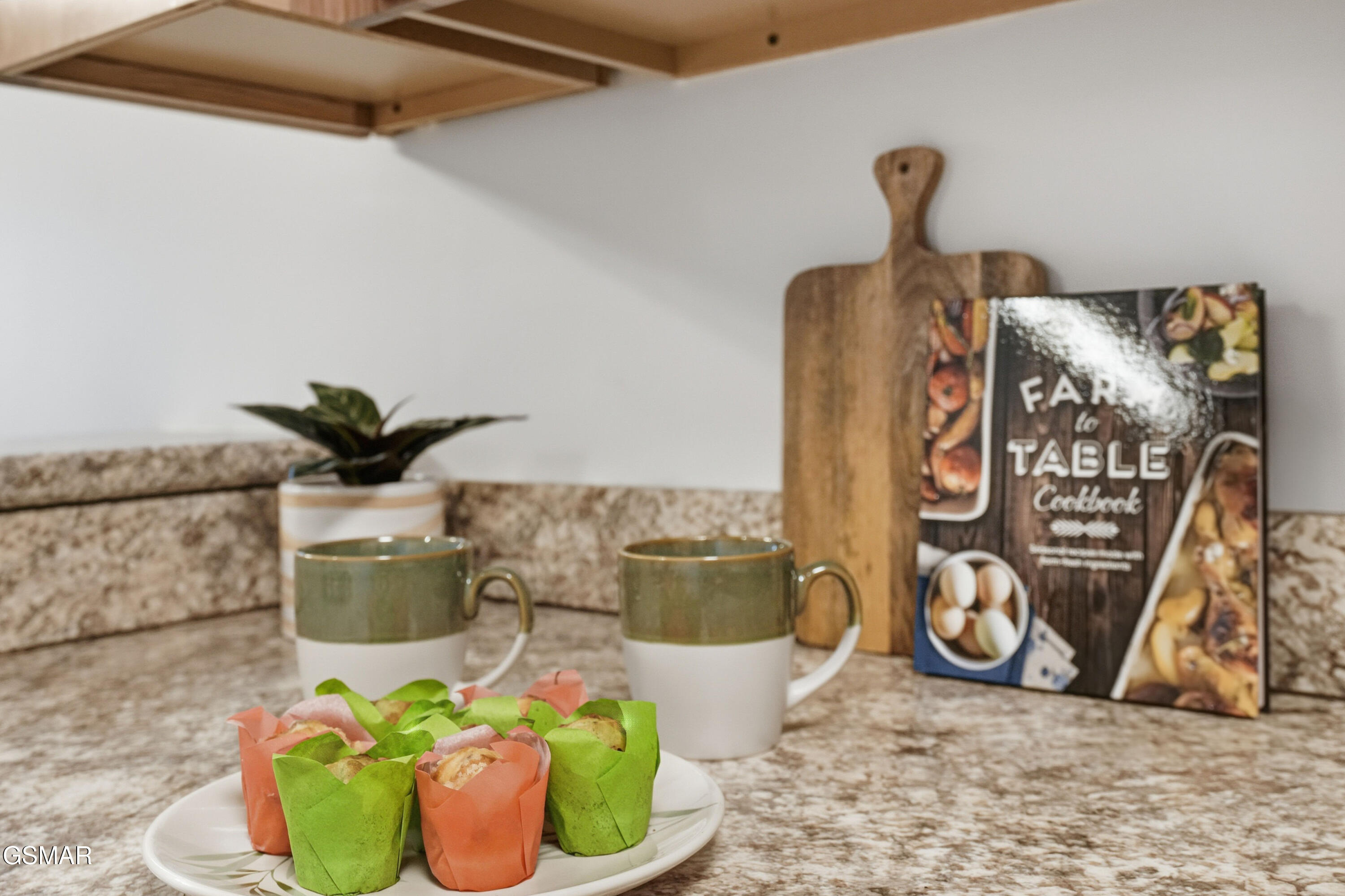 616 Turkey Nest Road Gatlinburg TN 37738