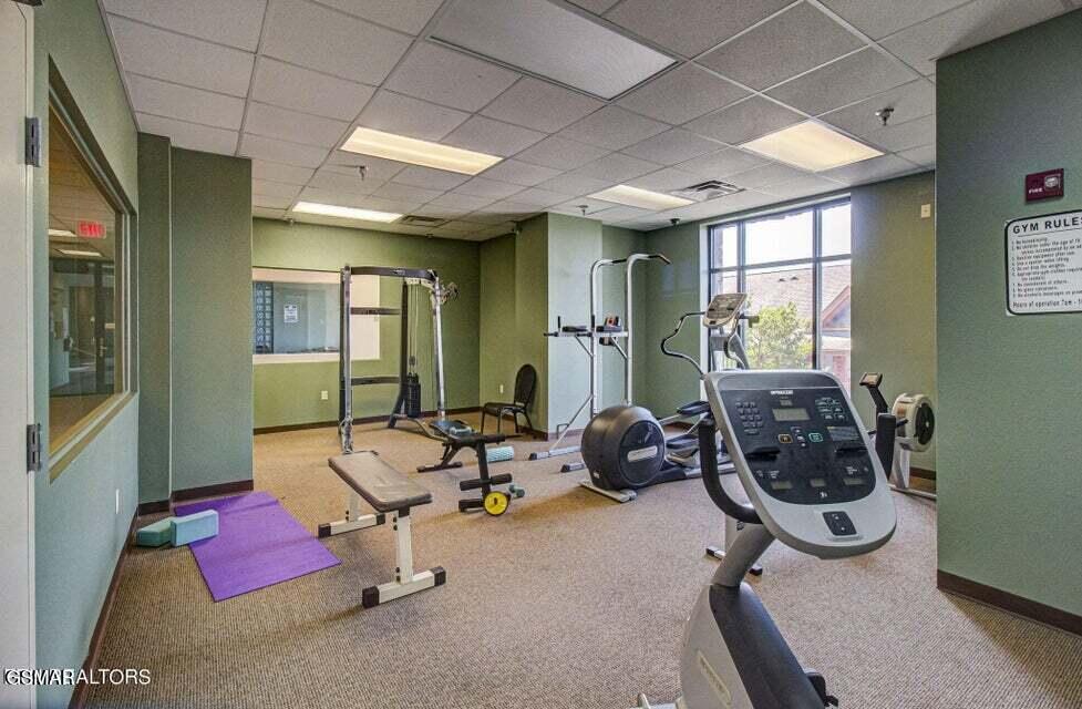 410 Big Bear Way Pigeon Forge TN 37863