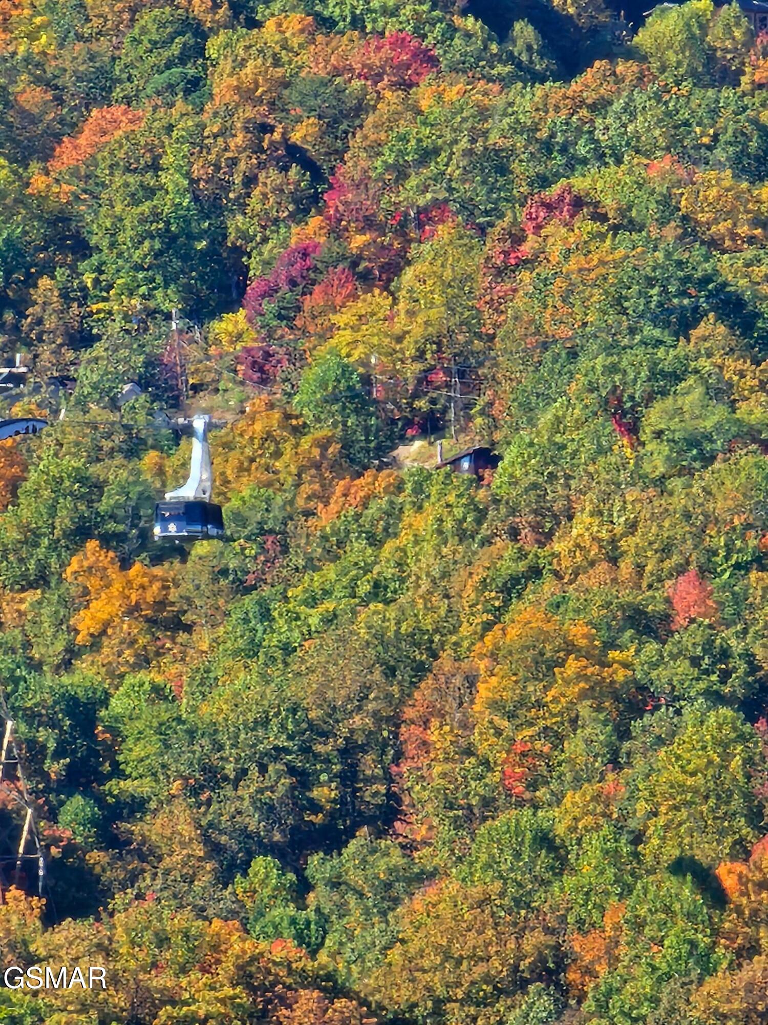 855 Campbell Lead Road Gatlinburg TN 37738