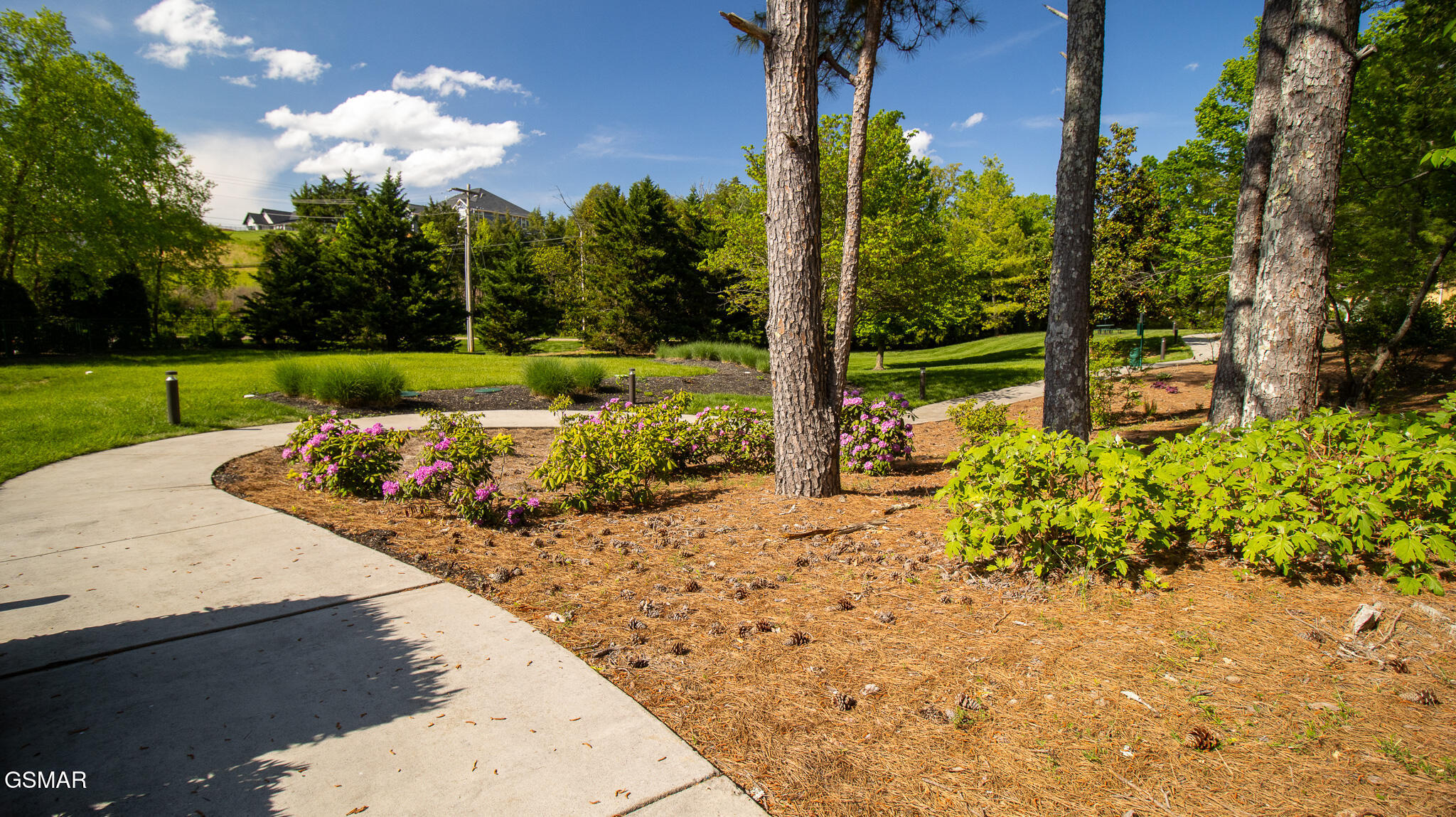 1269 Highway 139 201b Dandridge TN 37725