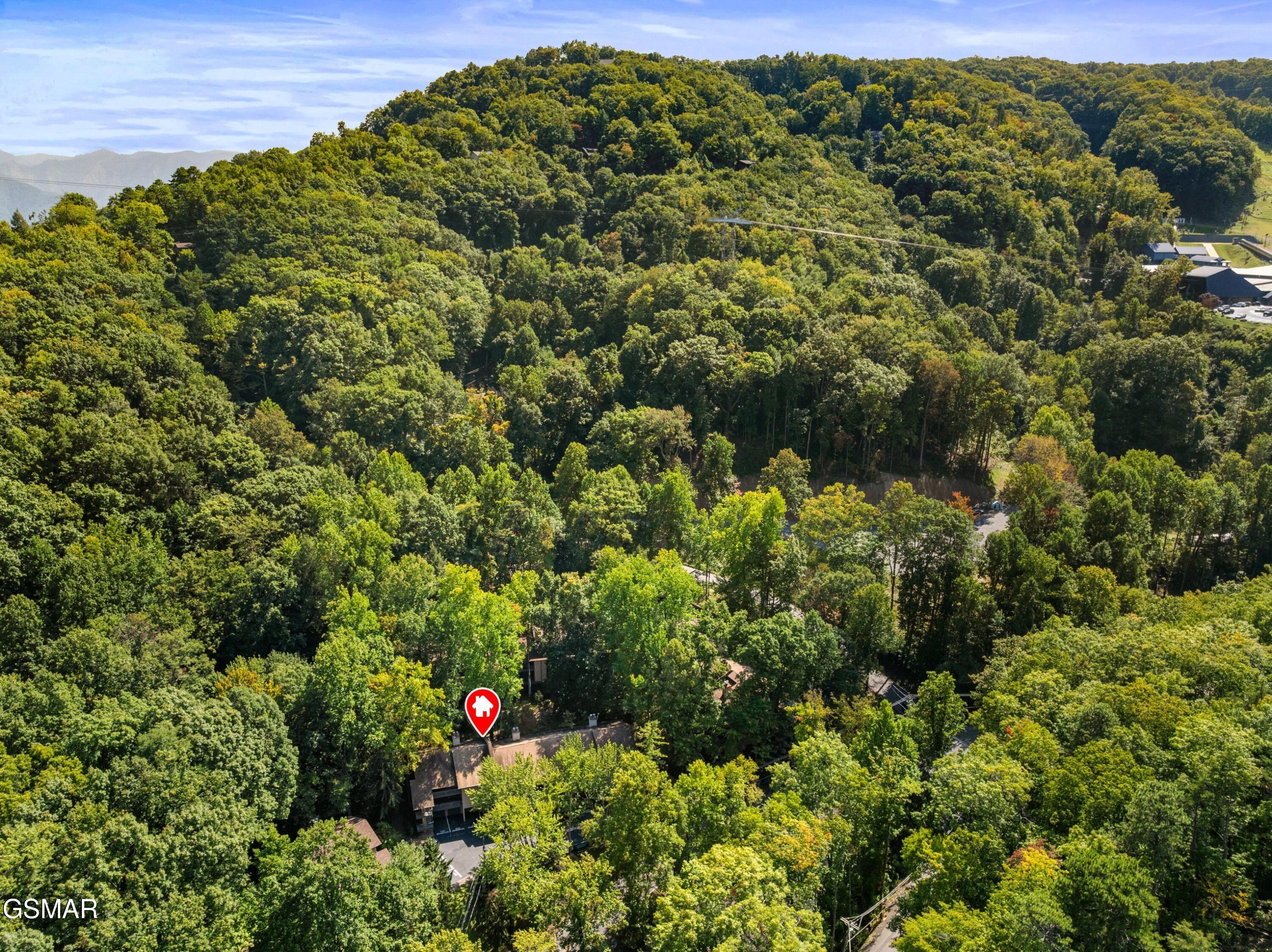 1235 Ski Mountain Road Gatlinburg TN 37738