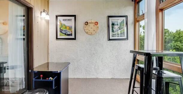 1130 Ski View Drive Gatlinburg TN 37738