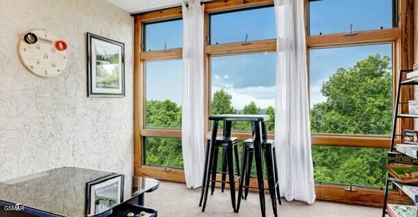 1130 Ski View Drive Gatlinburg TN 37738